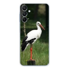Силиконовый чехол с птичкой на Samsung Galaxy A16 – Лелека