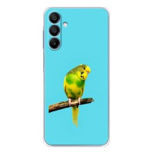Силиконовый чехол с птичкой на Samsung Galaxy A16 – Попугайчик
