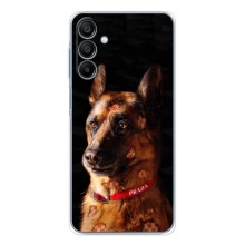 Чохли з картинкою животних Samsung Galaxy A17 (Овчарка)