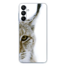 Чохли з картинкою животних Samsung Galaxy A17 (Рись)