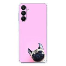 Чохли з собаками для Samsung Galaxy A17 (VPrint) (Смішна собака)