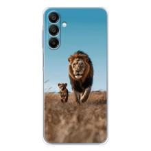 Чехол Король лев на Гелекси А17 (Мусафа и Симба)