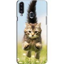 Чехлы с Котиками для Samsung Galaxy A20s (A207) (VPrint) (Прыжок кота)