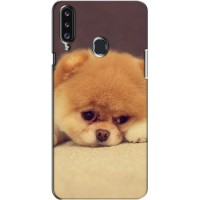 Чехол (ТПУ) Милые собачки для Samsung Galaxy A20s (A207) (Померанский шпиц)