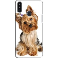 Чехол (ТПУ) Милые собачки для Samsung Galaxy A20s (A207) (Собака Терьер)