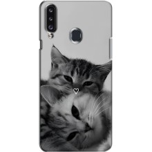 Чехол с рисунком кот на Samsung Galaxy A20s (A207) (Пара котов)