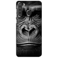 Чехлы с Горилой на Самсунг А21 – Черная обезьяна