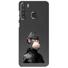 Чохли з Мавпами NFT для Samsung Galaxy A21 (A215) (AlphaPrint) (стильна мавпа NFT)