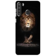 Чохол з картинкою ЛЕВ для Samsung Galaxy A21 (A215) (VPrint) (Лев)