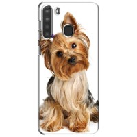 Чехол (ТПУ) Милые собачки для Samsung Galaxy A21 (A215) (Собака Терьер)
