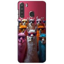 Чехол с принтом стильные животные для Самсунг А21 – Ламы в очках