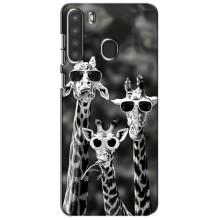 Силіконовий чохол з КАРТИНКАМИ літо для Samsung Galaxy A21 (A215) (AlphaPrint) (Жирафи в окулярах)