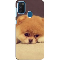 Чехол (ТПУ) Милые собачки для Samsung Galaxy A21s – Померанский шпиц