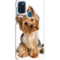 Чехол (ТПУ) Милые собачки для Samsung Galaxy A21s (Собака Терьер)