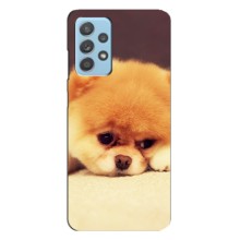 Чехол (ТПУ) Милые собачки для Samsung Galaxy A23 (Померанский шпиц)