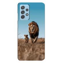 Чохол Король лев на Самсунг Галаксi A23 (Мусафа і Сімба)