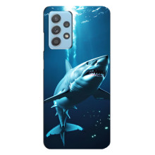 Чехол с картинкой «Хищники» для Samsung Galaxy A23 – Акула