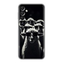 Чохол з принтом стильні тварини для Samsung Galaxy A24 (Овечка в окулярах)