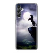 Чехлы с изображением разных животных для Samsung Galaxy A25 (A256) (Лошадь)
