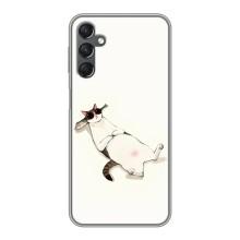 Чехол на тематику: Коты для Samsung Galaxy A25 (A256) – Отдых