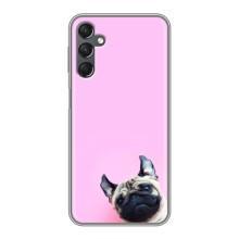 Бампер для Samsung Galaxy A25 (A256) с картинкой "Песики" (Собака на розовом)