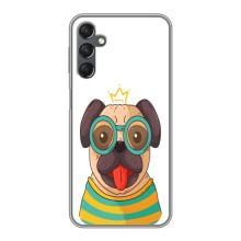 Бампер для Samsung Galaxy A25 (A256) с картинкой "Песики" (Собака Король)
