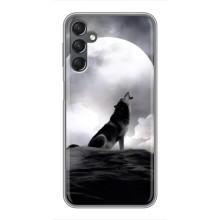 Чохол з Вовком на Samsung Galaxy A25 (A256) – Вовк і місяць