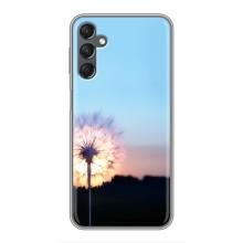 Силиконовый Чехол с одуванчиками на Samsung Galaxy A25 (A256) – Закат с одуванчиком