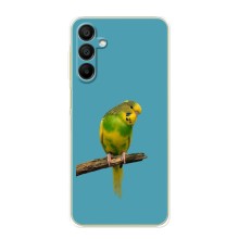 Силиконовый чехол с птичкой на Samsung Galaxy A25 (A256) (Попугайчик)