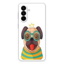 Бампер для Samsung Galaxy A26 5G з картинкою "Песики" (Собака Король)