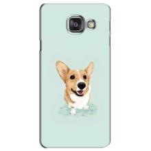 Чехлы с собаками для Samsung Galaxy A3 2016 / A3100 / A310F (VPrint) (Корги)