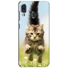 Чехлы с Котиками для Samsung Galaxy A30 2019 (A305F) (VPrint) (Прыжок кота)