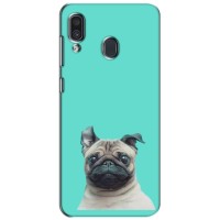 Бампер для Samsung Galaxy A30 2019 (A305F) с картинкой "Песики" (Собака Мопс)