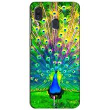 Чохол з пташками на Samsung Galaxy A30 2019 (A305F) (VPrint) (Яскравий Павлин)