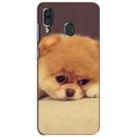 Чехол (ТПУ) Милые собачки для Samsung Galaxy A30 2019 (A305F) – Померанский шпиц