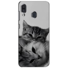 Чохол з малюнком кіт на Samsung Galaxy A30 2019 (A305F) (Пара котів)