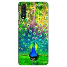 Чехол с птицами на Samsung Galaxy A30s (A307) (VPrint)