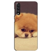 Чехол (ТПУ) Милые собачки для Samsung Galaxy A30s (A307) – Померанский шпиц