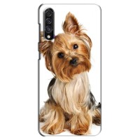 Чехол (ТПУ) Милые собачки для Samsung Galaxy A30s (A307) – Собака Терьер