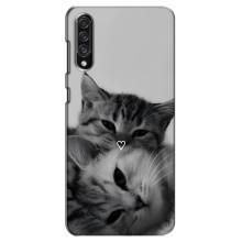 Чохол з малюнком кіт на Samsung Galaxy A30s (A307) – Пара котів