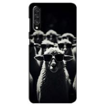 Чохол з принтом стильні тварини для Самсунг Галаксі А30с (А307) – Овечка в окулярах