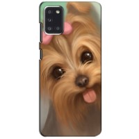 Чехол (ТПУ) Милые собачки для Samsung Galaxy A31 (A315) (Йоршенский терьер)
