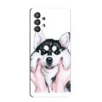 Бампер для Samsung Galaxy A32 (5G) с картинкой "Песики" – Собака Хаски