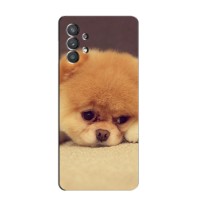 Чехол (ТПУ) Милые собачки для Samsung Galaxy A32 (5G) (Померанский шпиц)