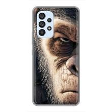 Чехлы с Горилой на Самсунг Галакси А33 (5G) – Суровый