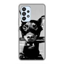 Чехол ДОБЕРМАН для Samsung Galaxy A33 (5G) (Опасный доберман)