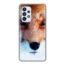 Чехол с Лисичкой для Samsung Galaxy A33 (5G) – Рыжая Лисичка