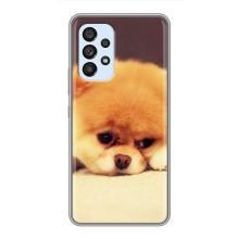 Чехол (ТПУ) Милые собачки для Samsung Galaxy A33 (5G) – Померанский шпиц
