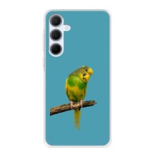 Силиконовый чехол с птичкой на Samsung Galaxy A35 (5G) (Попугайчик)