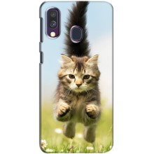 Чехлы с Котиками для Samsung Galaxy A40 2019 (A405F) (VPrint) (Прыжок кота)